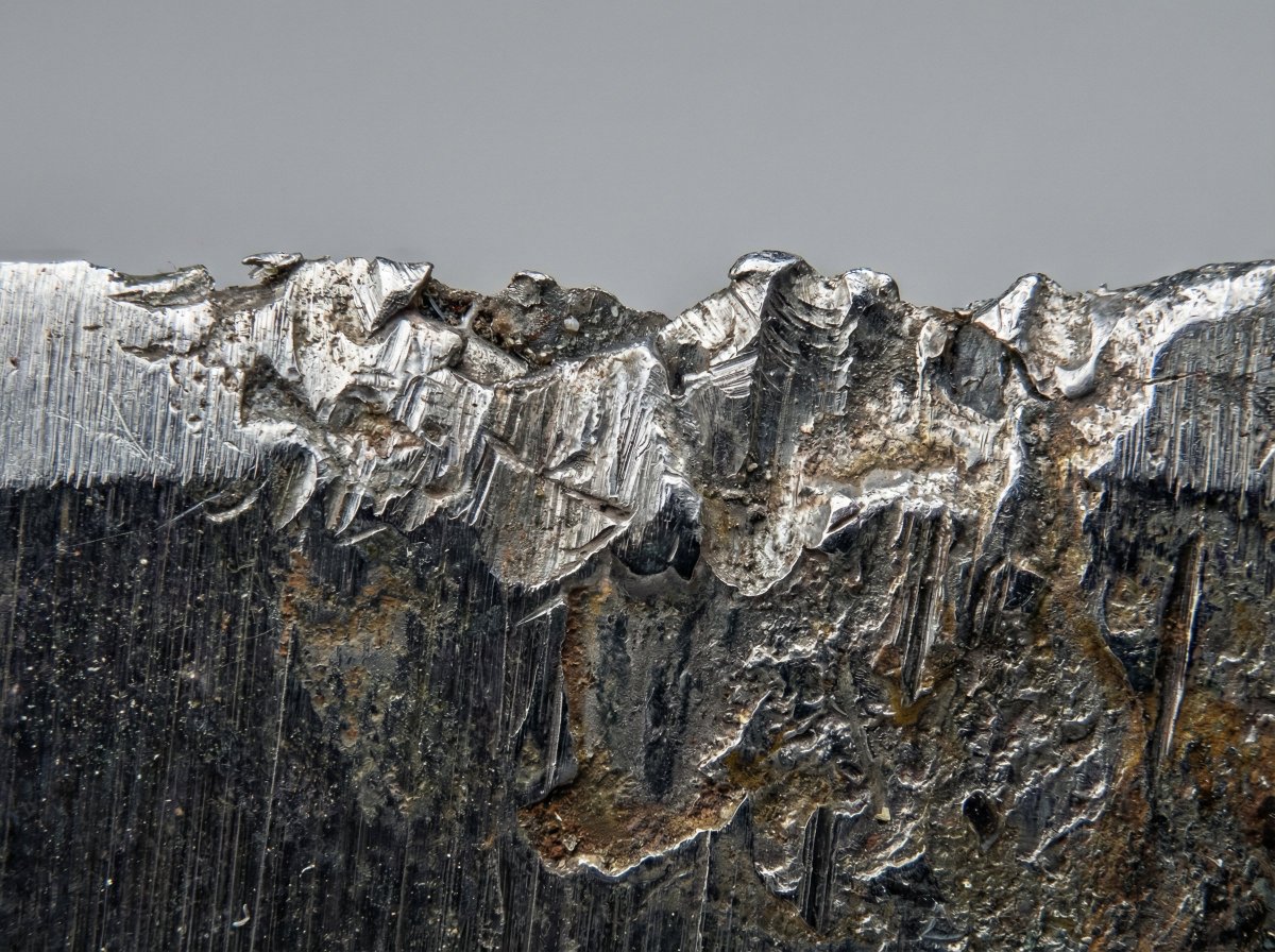 Microscopic View of a Subject 2