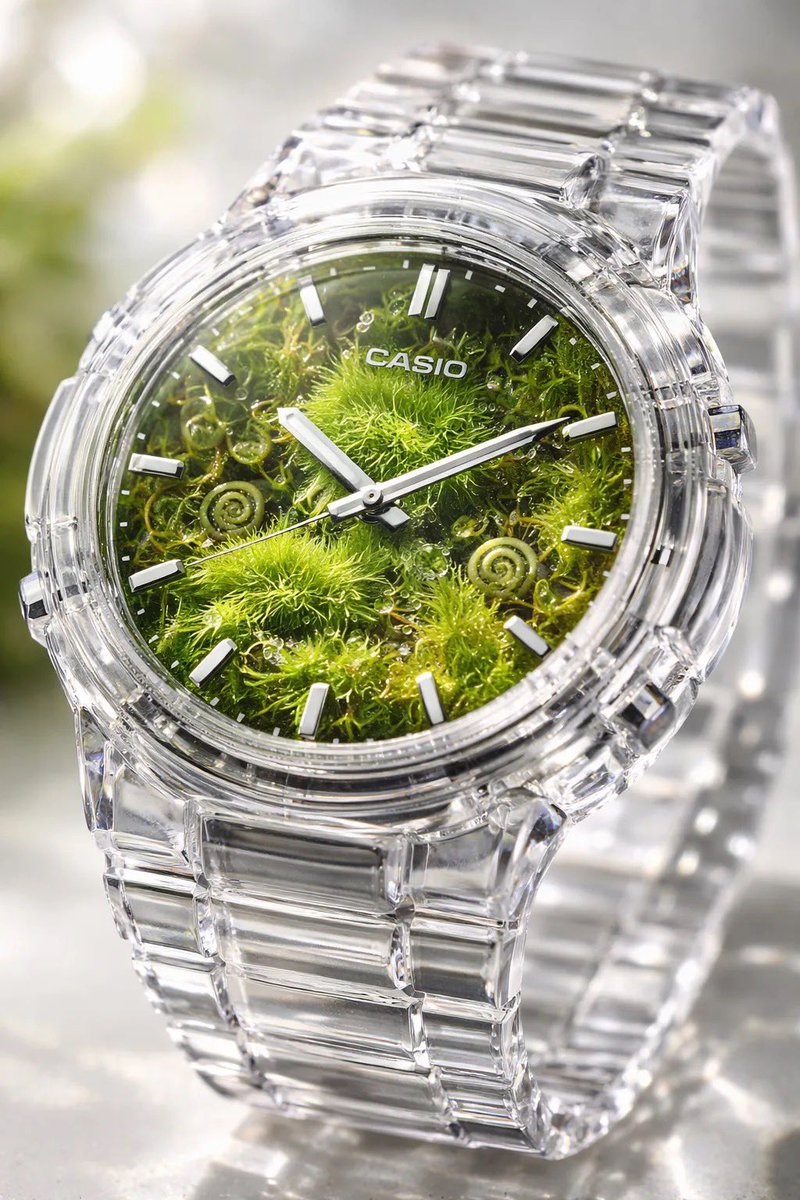 Crystal Terrarium Watch Product Shot 2