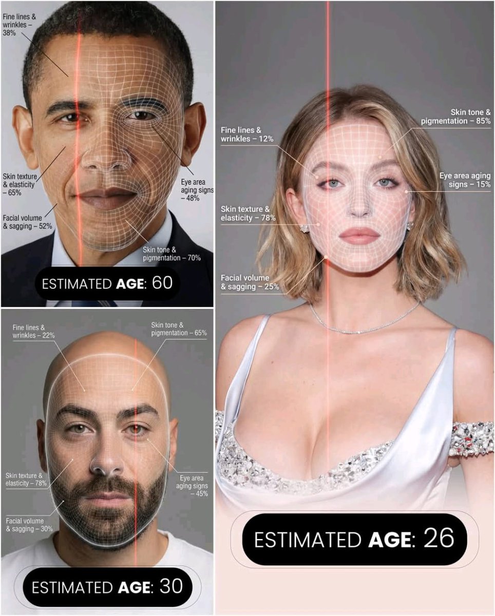 Futuristic AI Age Checker Infographic Portrait 1