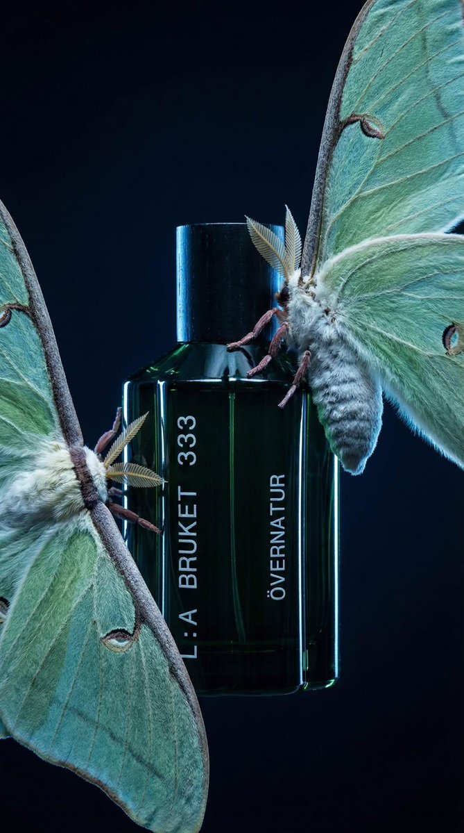 Luxury Perfume Bottle in Mystical Forest Product Shot 2