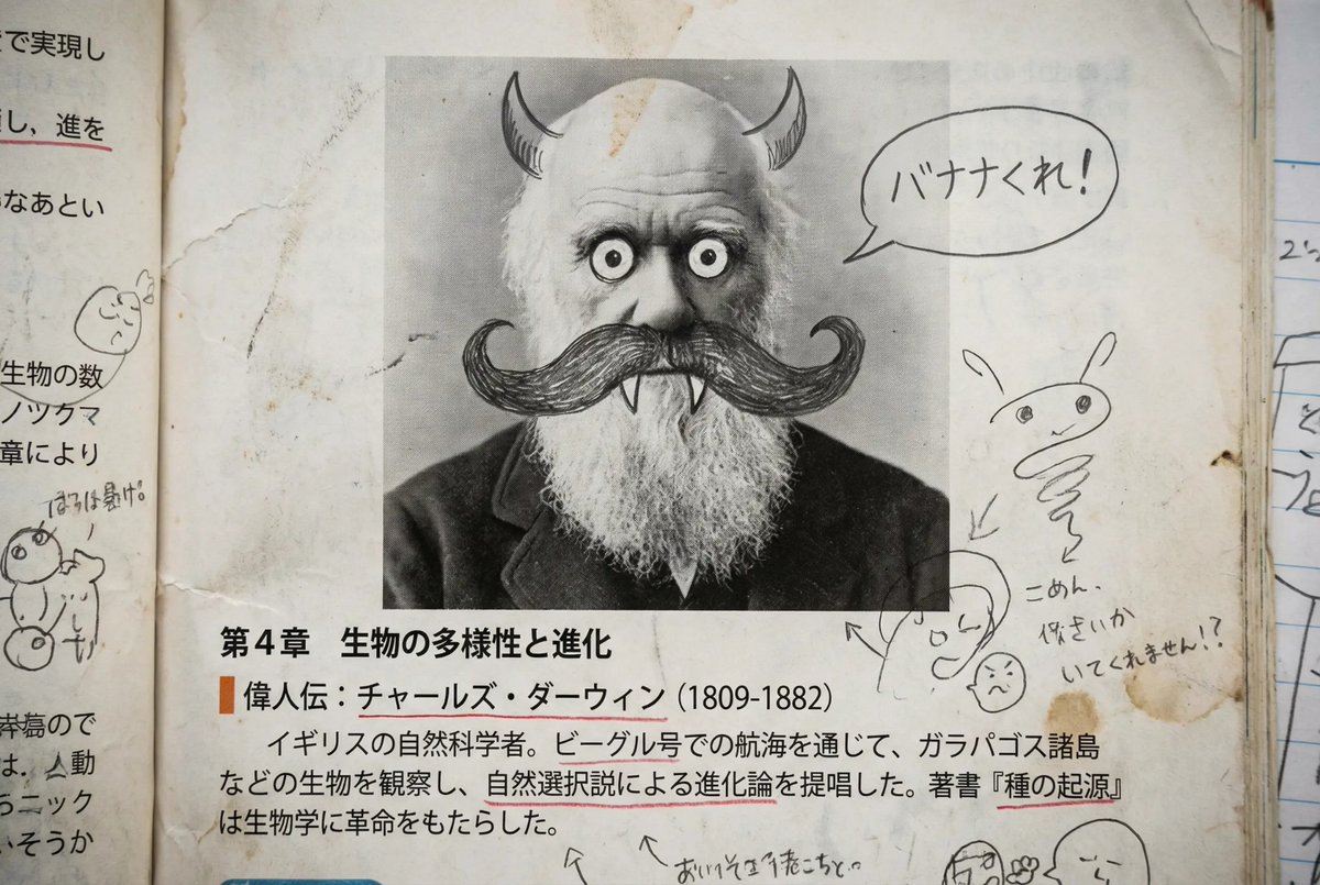 Middle schooler doodles on history textbook pages 1